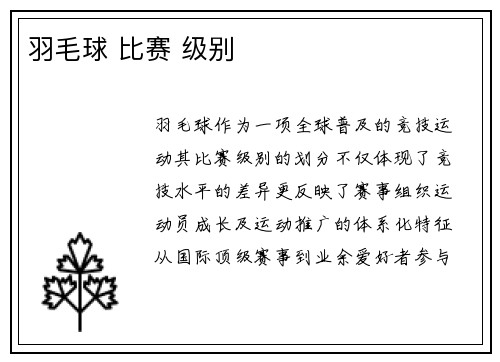 羽毛球 比赛 级别
